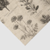Vintage Botanical Floral Pattern (11) 薄葉紙 (詳細)