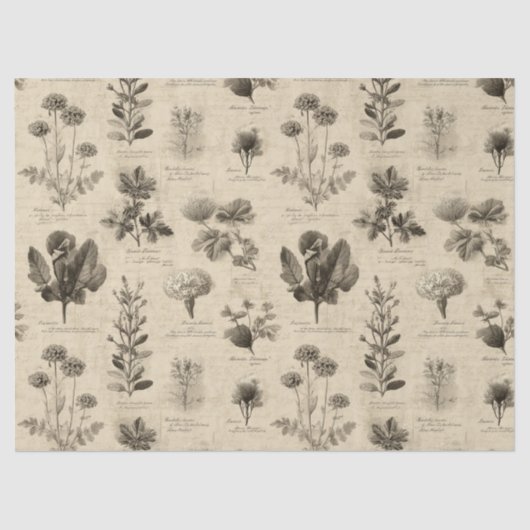Vintage Botanical Floral Pattern (11) 薄葉紙 (正面)