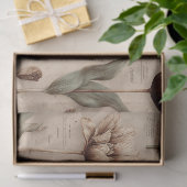 Vintage Botanical Floral Pattern (6) 薄葉紙 (ギフト)