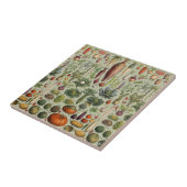 vintage botanical French garden vegetables  タイル (側面)