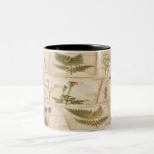 Vintage Botanical Herbarium Pattern ツートーンマグカップ (中央)