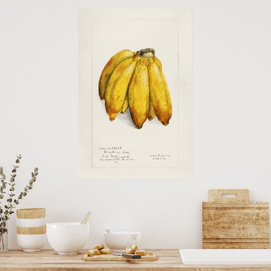 Vintage Botanical Illustration ポスター (キッチン)