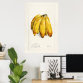 Vintage Botanical Illustration ポスター (ホームオフィス)