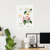 Vintage Botanical Illustration ポスター (ホームオフィス)