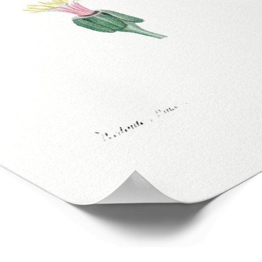 Vintage Botanical Illustration ポスター (角)