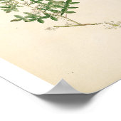 Vintage Botanical Illustration Floral Art ポスター (角)
