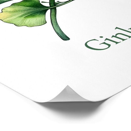 Vintage Botanical Illustration Ginkgo Poster ポスター (角)