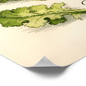 Vintage Botanical Illustration Lettuce Varieties ポスター (角)