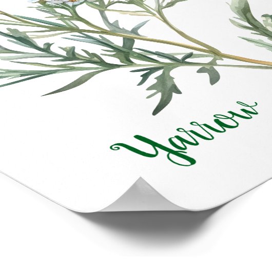 Vintage Botanical Illustration Yarrow ポスター (角)