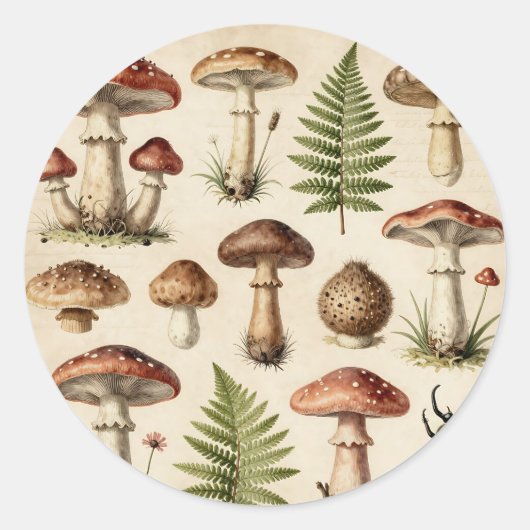 Vintage Botanical Mushroom Fern Collage ラウンドシール (正面)