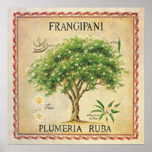 Vintage Botanical Plumeria Tree Art Deco ポスター