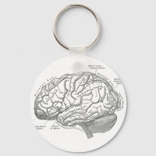 Vintage Brain Anatomy キーホルダー (正面)