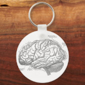 Vintage Brain Anatomy キーホルダー (正面)