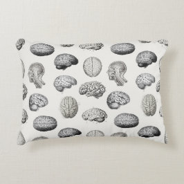 Vintage Brain Anatomy Biology Illustrations アクセントクッション
