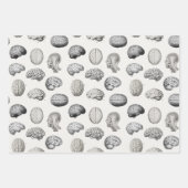 Vintage Brain Anatomy Biology Illustrations ラッピングペーパーシート (正面)