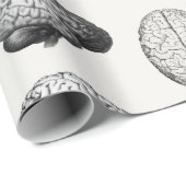 Vintage Brain Anatomy Biology Illustrations ラッピングペーパー (ロールコーナー)