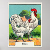Vintage Bresse Chicken ポスター (正面)