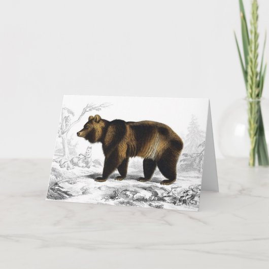Vintage Brown Bear 1849 Book Illustration カード (正面)