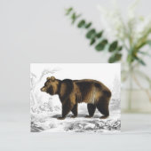 Vintage Brown Bear 1849 Book Illustration ポストカード (スタンド正面)
