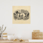 Vintage Bulldog 1800s Bull Dog Illustration - Dogs ポスター (キッチン)