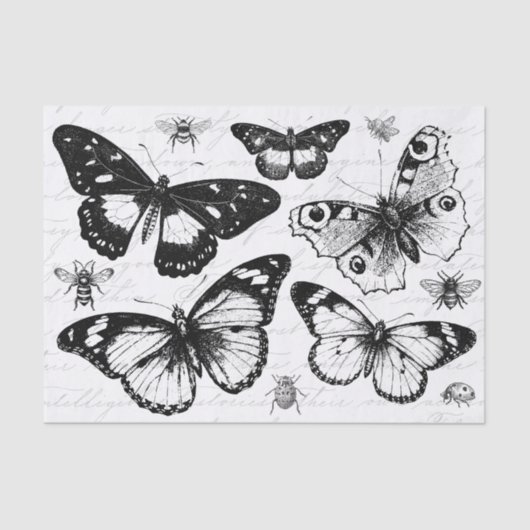Vintage Butterflies and Bees 薄葉紙 (正面)