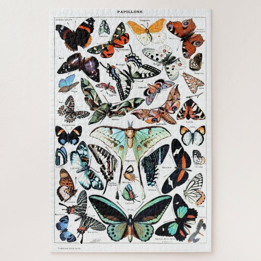 Vintage Butterflies Illustration ジグソーパズル (縦)