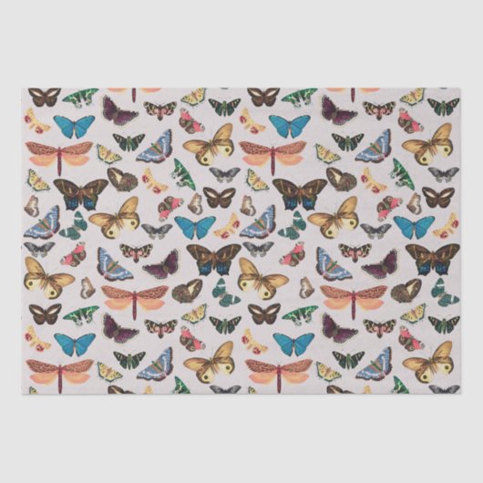 Vintage butterfly Aesthetic 薄葉紙 (正面)