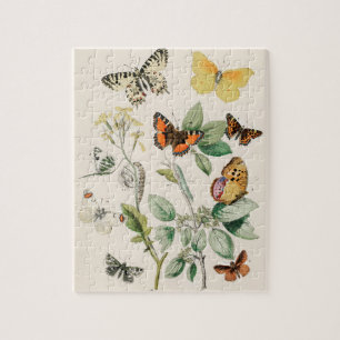 Vintage Butterfly Papillon Old Illustration Art ジグソーパズル