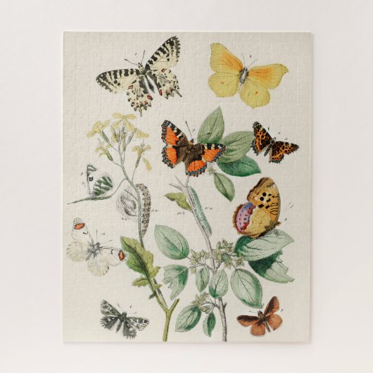 Vintage Butterfly Papillon Old Illustration Art ジグソーパズル (縦)