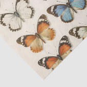 Vintage Butterfly Specimen Collection 薄葉紙 (詳細)
