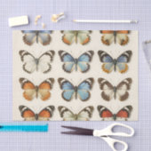 Vintage Butterfly Specimen Collection 薄葉紙 (クラフト)