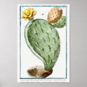 Vintage Cactus Illustration ポスター (正面)