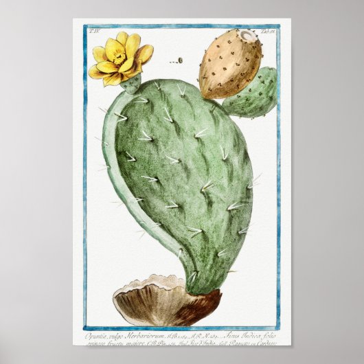 Vintage Cactus Illustration ポスター (正面)