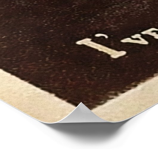 Vintage Canary Eating Cat ポスター (角)