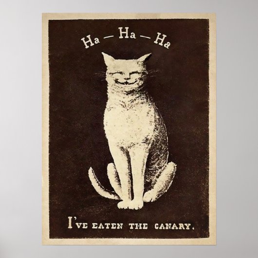 Vintage Canary Eating Cat ポスター (正面)