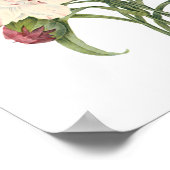 Vintage Carnations Dianthus Garden Flowers Redoute ポスター (角)