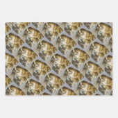 Vintage cat and dog intimate friendship ラッピングペーパーシート (正面)