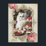 Vintage Cat,Kitten,French,paris,tea,cake,roses,猫 ポストカード<br><div class="desc">Vintage Cat, Kitten, French, paris, tea, cake, roses ペルシャ猫　ポストカード .</div>