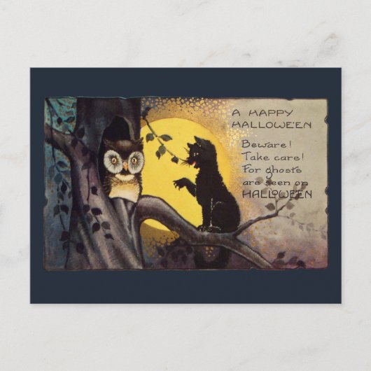 Vintage Cat Warning Owl Spooky Halloween Postcard ポストカード (正面)