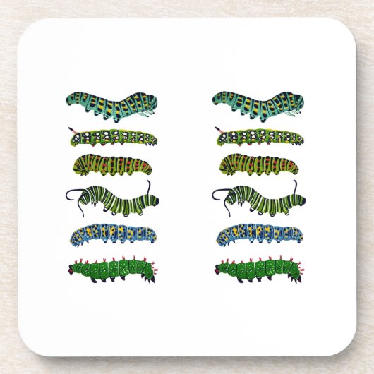 Vintage Caterpillar Illustration Mug  コースター (正面)