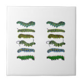 Vintage Caterpillar Illustration Mug  タイル (正面)