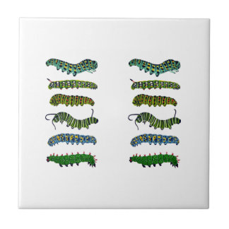 Vintage Caterpillar Illustration Mug  タイル