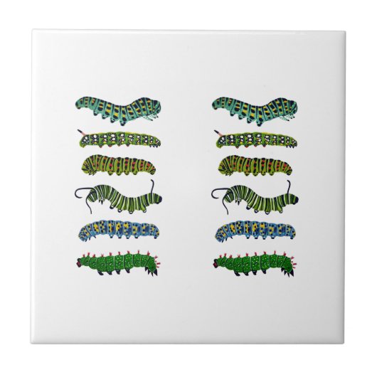 Vintage Caterpillar Illustration Mug  タイル (正面)