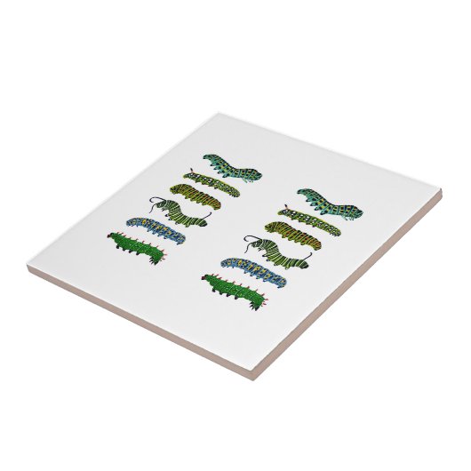 Vintage Caterpillar Illustration Mug  タイル (側面)