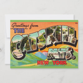 Vintage Catskill Mountains 5x7 Big Postcard サンキューカード