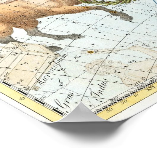 Vintage Celestial Constellations Map ポスター (角)