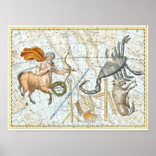 Vintage Celestial Constellations Map ポスター (正面)