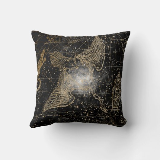 Vintage Celestial Star Map Background クッション (裏面)