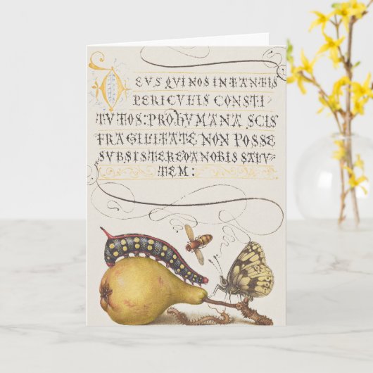 Vintage Chic Calligraphy butterfly Print カード (黄色い花)