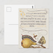 Vintage Chic Calligraphy butterfly Print ポストカード (正面/裏面)